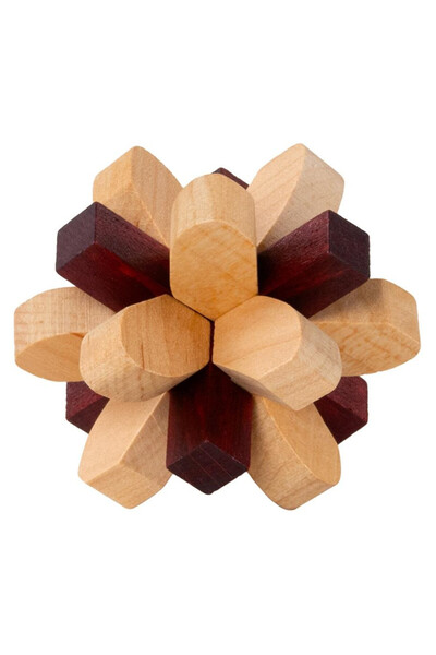 G3 Puzzle  "Lobul Parietal " - Lobul Parietal de la Recent Toys, nivel de dif...