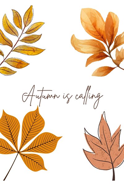 OEM Motivational Poster Autumn is Calling, Autumn Decor, Premium Cardboard 25...