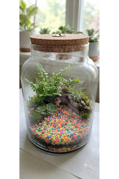 Ecdconcept Renkli Taş Teraryum Akvaryum Dekor Hobi 1-2 mm 500 Gr