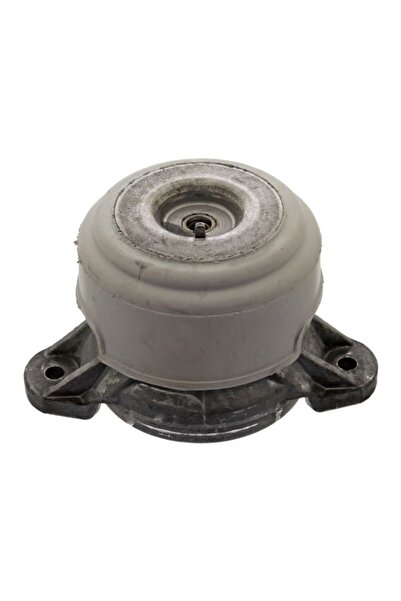 FEBI BILSTEIN Suport Motor din Fata Dreapta/Stanga Hidraulic Mercedes Cls (c2...