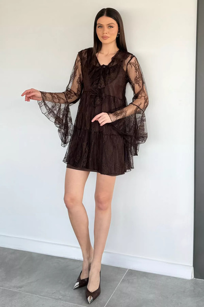 Aryena Brown Women's Wearable Lined Ruffled and Tulle Lycra Dress