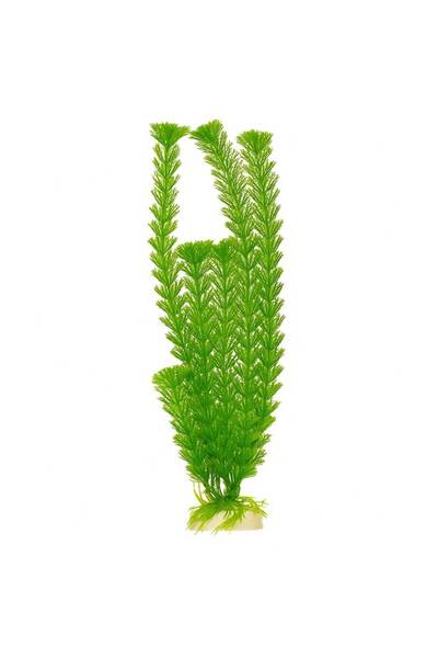 Ocean Free Plante artificiale decorative acvariu 30 cm Cabomba