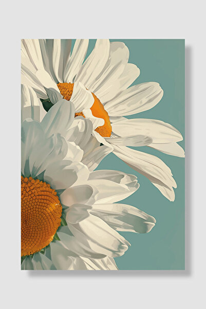 Luna Marissa Poster cu margarete Margarete albe Fundal turcoaz Navel portocal...