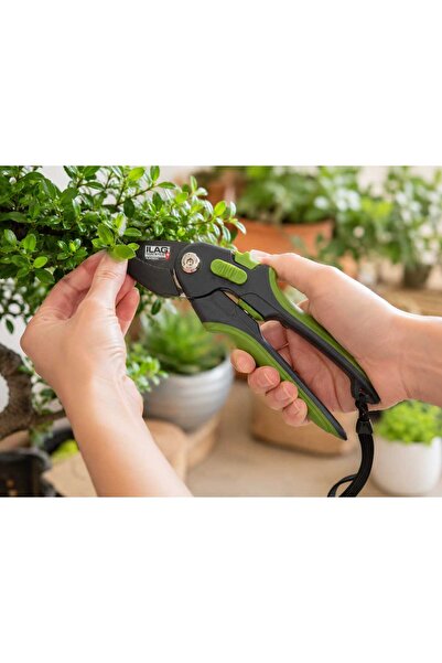 Home Anvil garden shears