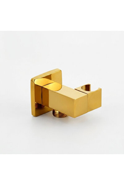 helemend Square Wall-Mounted Water Outlet and Spout with Gold Shower Head Hol...