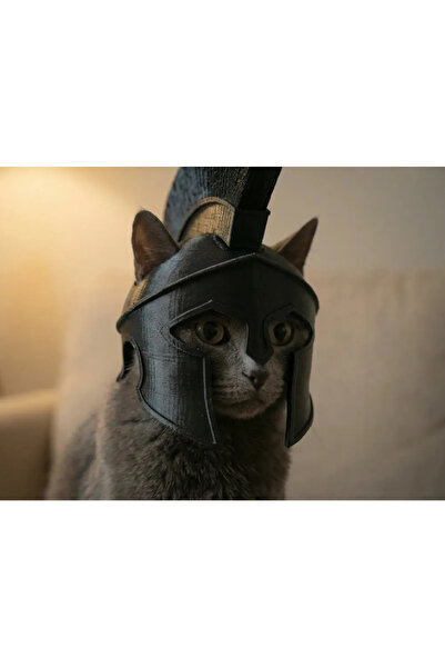 Evcil Hayvan İçin Modern Kedi Şapkası - Spartakus Kedi Şapkası