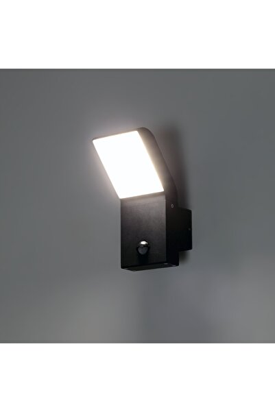 NO BRAND Lampă de perete pentru grădină Masterled Negru, cu sursă de lumină L...