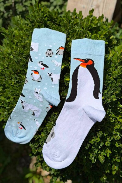 LouSocks جوارب زرقاء منقوشة بنمط البطريق للجنسين