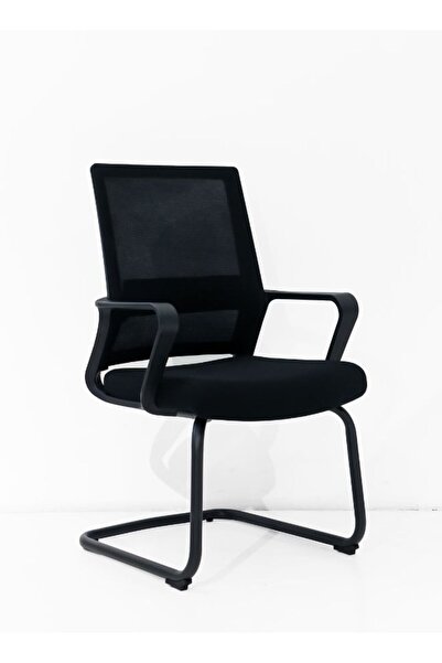 Fatio Ergonomic Office Chair with Breathable Mesh Back, High-Density Sponge S...