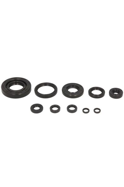 WINDEROSA Set de Garnituri de Motor (cantitate in Set 10 Buc) Yamaha Yz 250 2...