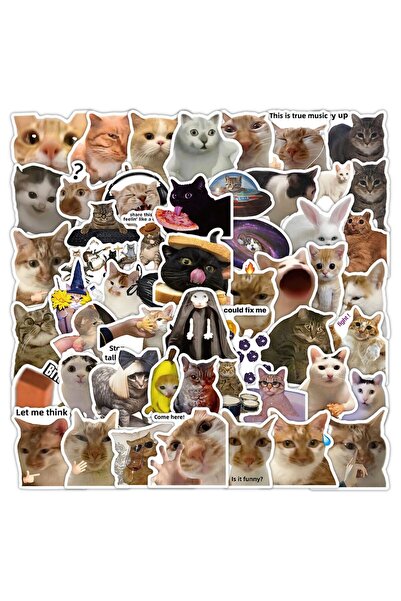 Choice 56PCS 56pcs Kawaii Cat Meme Sticker Collection | UV-Coated Waterproof ...