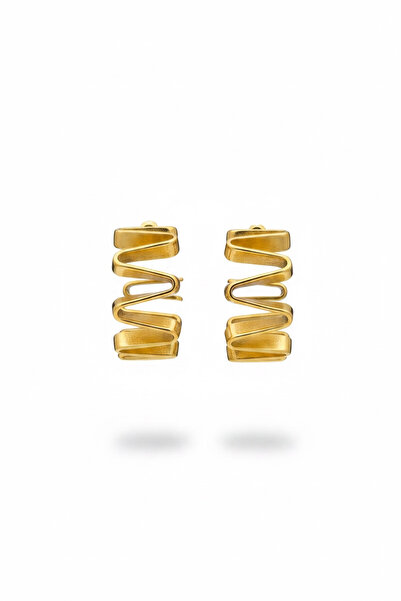 LYRA Bags & Accessories Steel Ring Twist Model Earrings