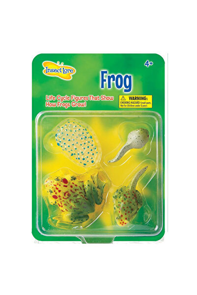 Insect Lore Ciclul de viață al broaștei. Set de figurine.