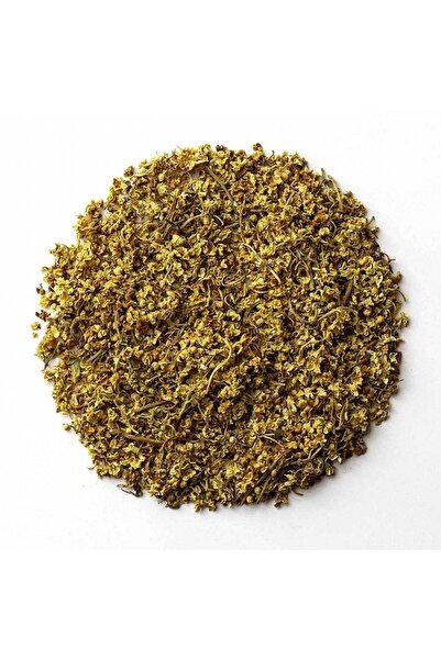 bitki diyarı Black Elderberry Flower Sambucus Nigra L 25Gr