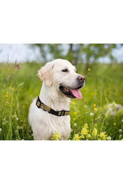 Pets First لعبة مطاطية للكلاب متينة مع حبل سحب قوي للكلاب. كرة هوكي الجليد لف...