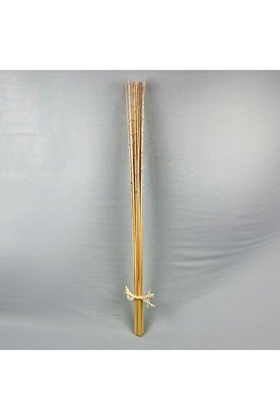 fleur New In Reed Stem Natural H-- 120Cm