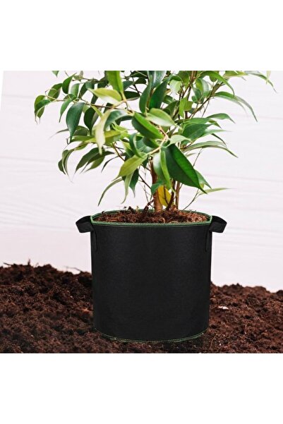 Morvena Picks Pachet de 6 saci pentru plante nețesute de 3 galoane (25 x 22 c...