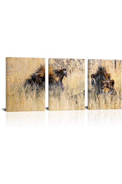 HOME MODE 30x40 cm 3 Panel Gallery Wrapped Canvas | Lion Wildlife Wall Art | ...