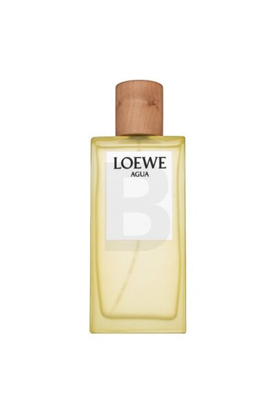 Loewe Apă de toaletă Unisex 100 ml