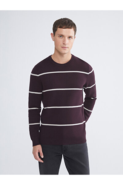 LC Waikiki Crew Neck Striped Men's Knitwear Sweater