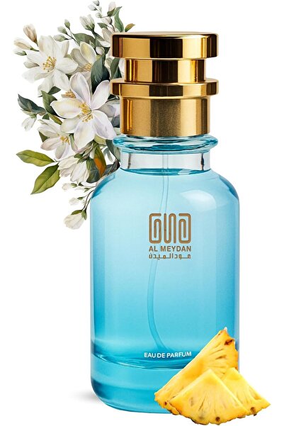 OUD AL MEYDAN Avintis Inspired Perfume for Men – Long-Lasting Alcohol-Free Ch...