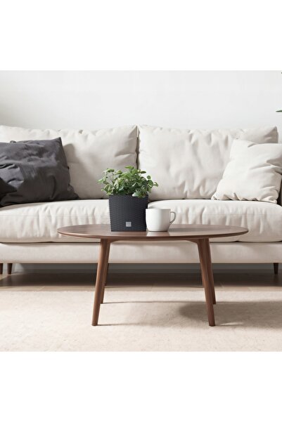 Deco4Home SET 3x JARDINIERE DE GRĂDINĂ DIN RATAN ANTRACIT, Ghivece pentru flo...