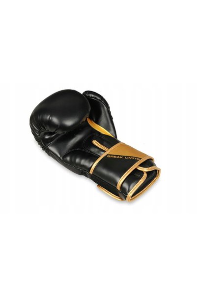 DBX BUSHIDO Mănuși de box B-2v10 negru/auriu 10 oz