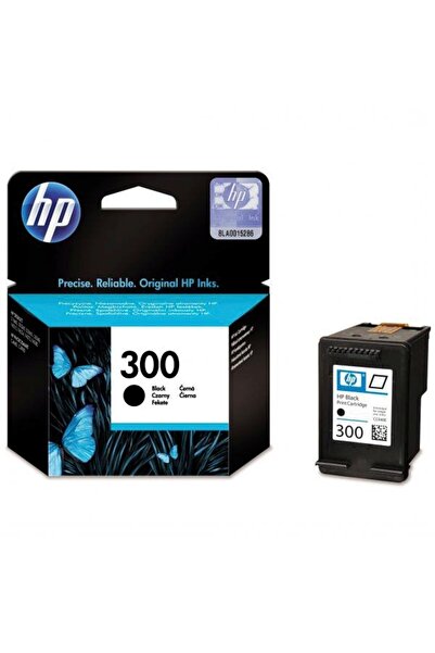 HP Cerneală 300 CC640EE negru (negru)