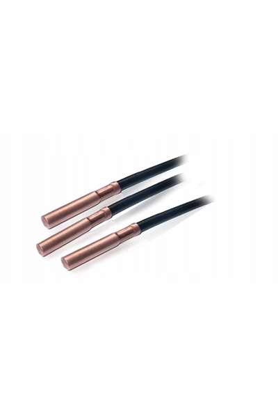 NO BRAND SENSOR DE TEMPERATURĂ PENTRU PODEA NTC 2,5 m TECH CONTROLERE WG.01.0032