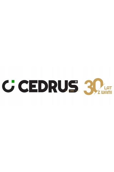 Cedrus 20V RH2.2Li 2.2J Mașină de găurit cu percuție