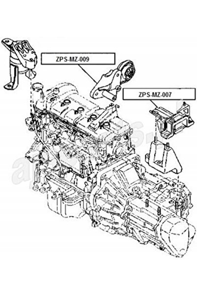 NO BRAND ZPS-MZ-009 NTY TAMPA MOTOR