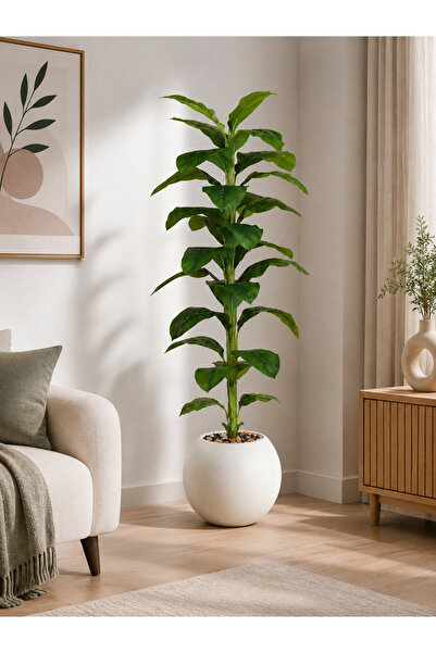 N.zone 200 cm Tall Artificial Banana Tree with White Pot (24X30 cm), Featurin...