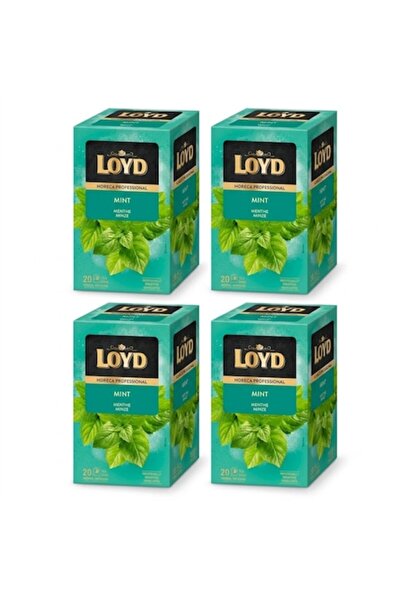 loyd Set de 4 x Ceai de mentă Horeca Professional, 80 plicuri