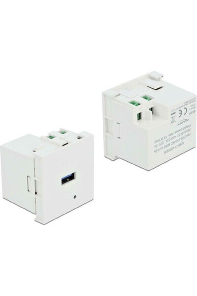 DELOCK Easy 45 Εντοιχιζόμενη Πρίζα Ρεύματος με 1 Θύρα USB Λευκό