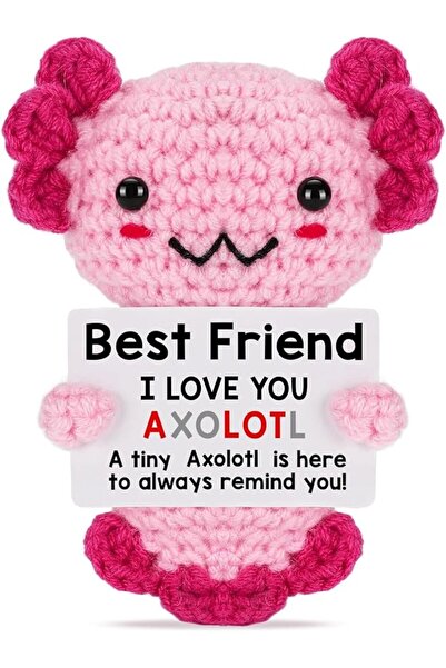 TERRIFI Positive Pocket Dinosaur Doll, Funny Emotional Support Knitted Dinosa...