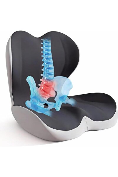 GENERAL Seat Cushion for Office Chair and Car, Relieve Back Pain and Sciatica...