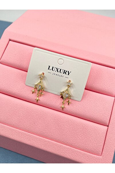 Bozhi Elegant Earrings Business Woman Style Meaningful Gift for Special Occas...