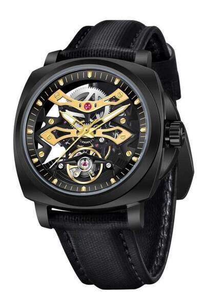 Pagani design Automatic Mechanical Men's Watches, Hollow Dial Design, Luminou...