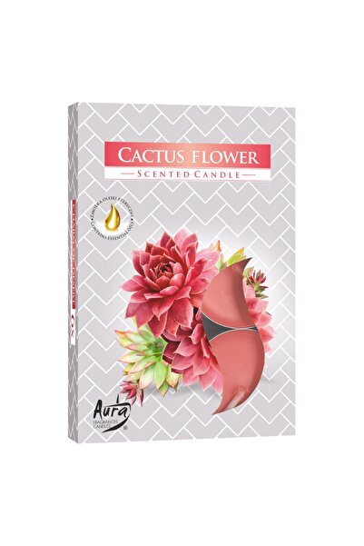 LCA Set 3 x 6 Lumanari Pastila, 4 Ore, Floare de Cactus