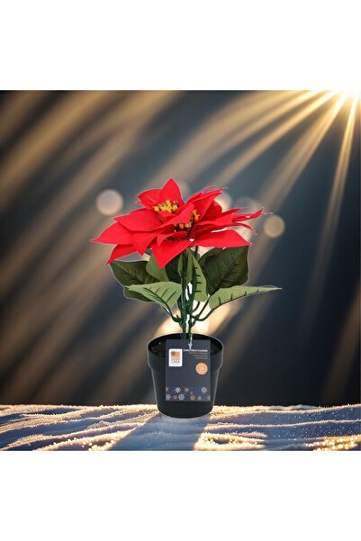 NO BRAND Floare artificială Steaua din Bethlehem/Poinsettia albă Ø24x24cm Art...