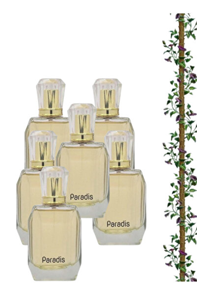 FİNAL 6 قطع عطر باراديس 100 مل