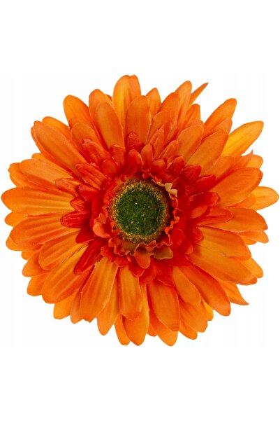 NO BRAND 24 bucăți GERBERA ORANGE - Cap de producție portocală