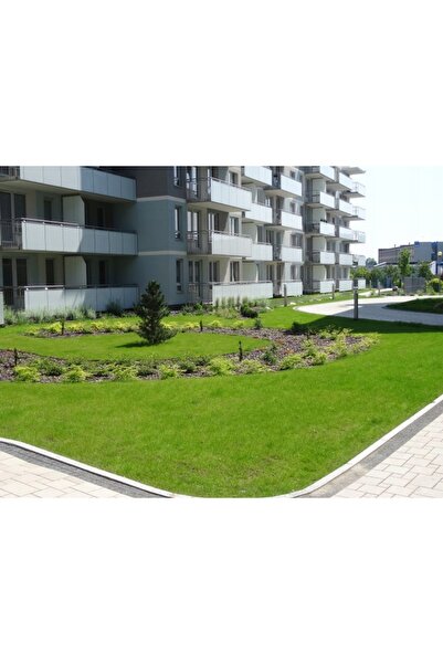 NO BRAND Iarbă decorativă, sportivă GlobalGrass 200 m² 5 kg