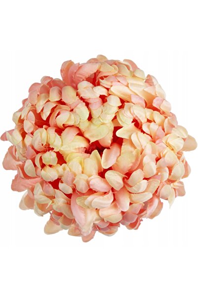 NO BRAND 6X CRIZANTEMĂ CU CAP PREMIUM, CULOARE APRICOT
