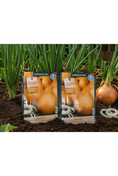 gardenline Set 2 plicuri semințe de ceapă Ailsa Craig