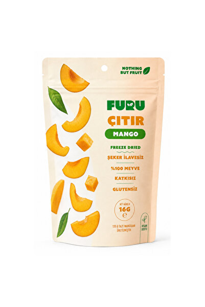 Çıtır Mango - Freeze Dried Mango - Dondurularak Kurutulmuş Meyve