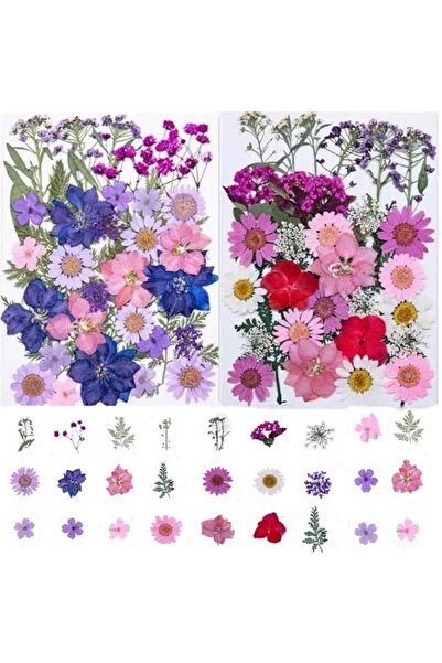 Generic 70pcs Dried Pressed Flowers For Resin Molds, Real Natural Bulk Presse...