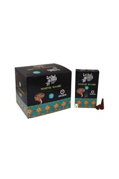 Generic Brand Tribal Soul White Sage Back Flow Cones