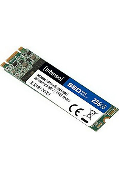 Intenso Κορυφαίο SSD 256GB Τύπου M.2 με σύνδεση SATA III 3832440