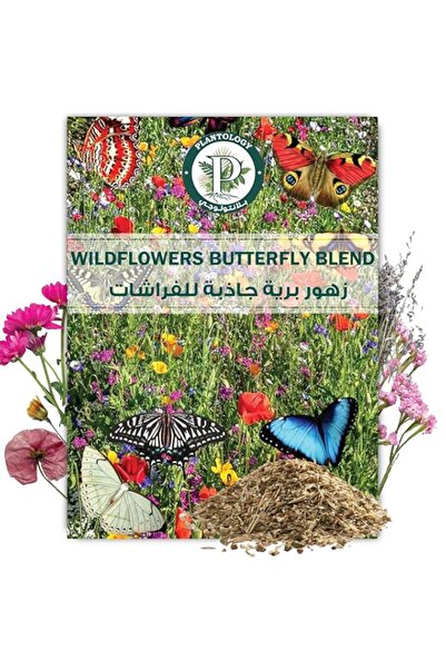 Generic Wildflower Seeds Mix for Planting - Hummingbird and Butterfly Garden ...